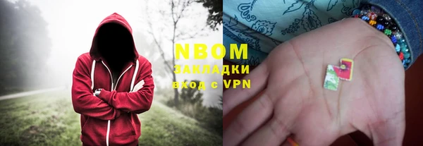 ПСИЛОЦИБИНОВЫЕ ГРИБЫ Заводоуковск