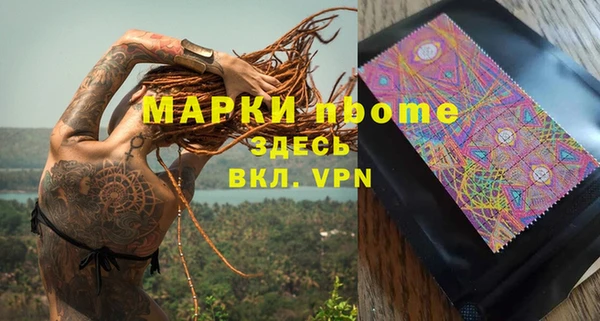 ПСИЛОЦИБИНОВЫЕ ГРИБЫ Заводоуковск