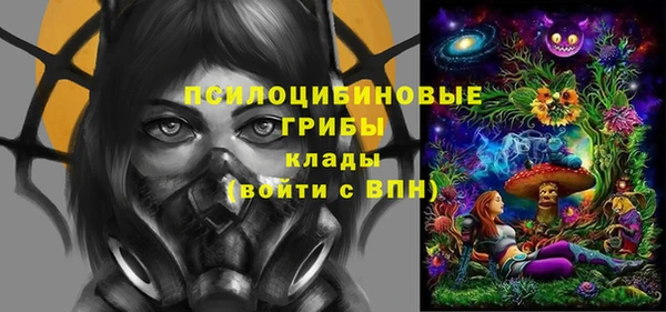 ПСИЛОЦИБИНОВЫЕ ГРИБЫ Заводоуковск