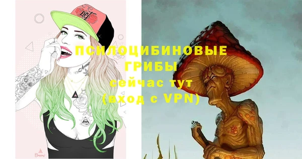 метадон Заволжск