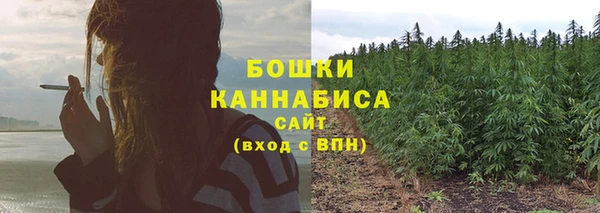 ПСИЛОЦИБИНОВЫЕ ГРИБЫ Заводоуковск