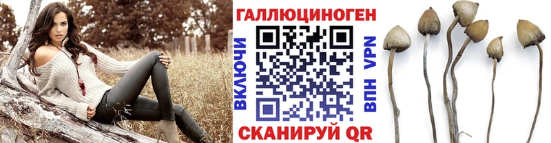 Галлюциногенные грибы Psilocybe  Купить  Дрезна 